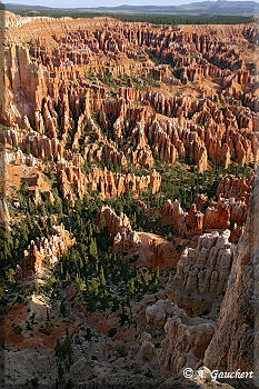 Felsnadeln im Bryce Canyon